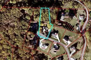 44 Deer Meadows Dr, Candler, NC 28715 - Photo 32