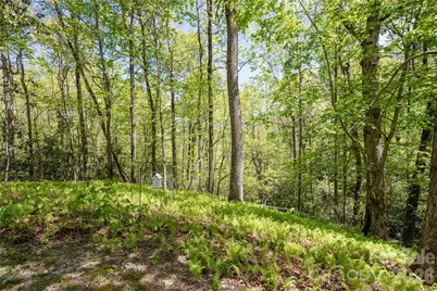139 Panther Gap Road, Brevard, NC 28712 - Photo 24