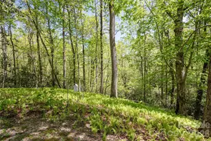 139 Panther Gap Rd, Brevard, NC 28712 - Photo 24