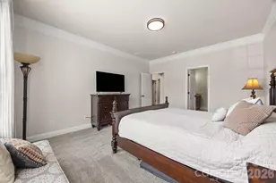 299 Annatto Way, Tega Cay, SC 29708 - Photo 24