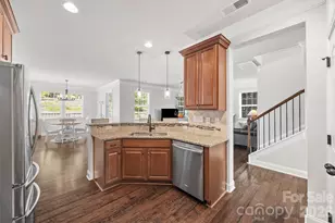 299 Annatto Way, Tega Cay, SC 29708 - Photo 10