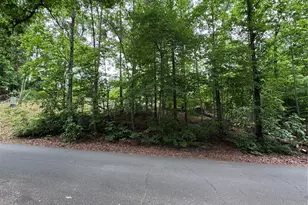 136 St John Zion Rd, Rutherfordton, NC 28139 - Photo 26