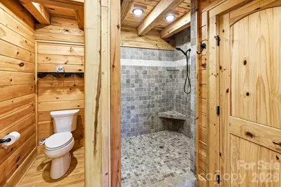 214 Whitney Boulevard, Lake Lure, NC 28746 - Photo 18