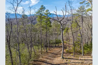 223 Rock Ledge Drive, Lake Lure, NC 28746 - Photo 10