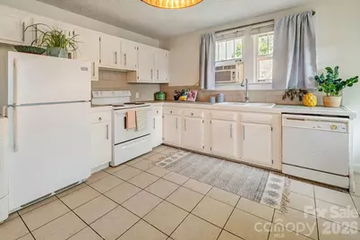 3 Irving Street, Asheville, NC 28804 - Photo 16
