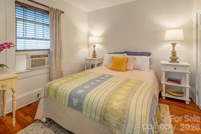 3 Irving Street, Asheville, NC 28804 - Photo 10