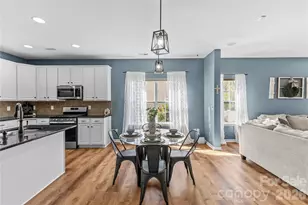 224 Morning Dew Lane, Mount Holly, NC 28120 - Photo 12