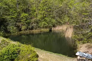78 Bird Creek Estates Rd, Black Mountain, NC 28711 - Photo 4