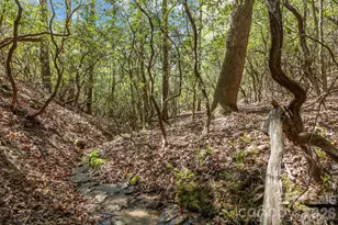 78 Bird Creek Estates Rd, Black Mountain, NC 28711 - Photo 44