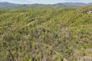 78 Bird Creek Estates Rd, Black Mountain, NC 28711 - Photo 34