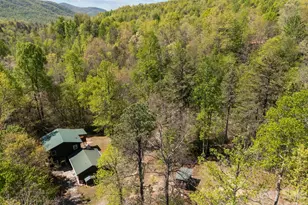 78 Bird Creek Estates Rd, Black Mountain, NC 28711 - Photo 32