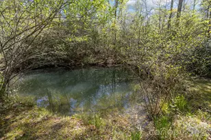 78 Bird Creek Estates Rd, Black Mountain, NC 28711 - Photo 2