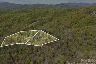 78 Bird Creek Estates Rd, Black Mountain, NC 28711 - Photo 6