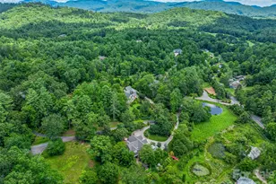 212 S Plains Dr, Asheville, NC 28803 - Photo 48