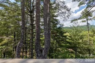 201 Timber Dr, Asheville, NC 28804 - Photo 16