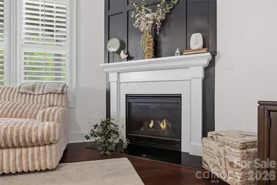 329 Sensibility Circle, Fort Mill, SC 29708 - Photo 14
