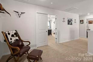 199 Fox Cove Rd, Hendersonville, NC 28792 - Photo 22