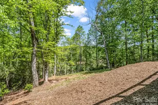 194 Summer Morning Ct, Lake Lure, NC 28746 - Photo 38