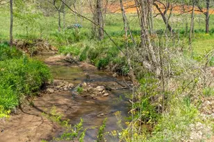 71 Bullfrog Cove Rd, Sylva, NC 28779 - Photo 4