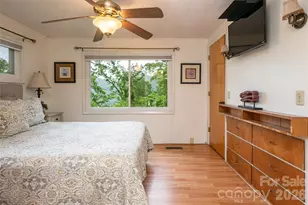 8 N Delano Rd, Asheville, NC 28805 - Photo 24