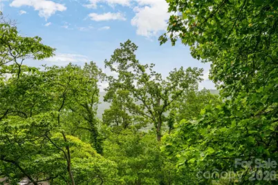 8 N Delano Road, Asheville, NC 28805 - Photo 26
