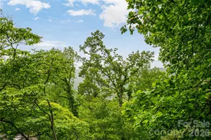 8 N Delano Rd, Asheville, NC 28805 - Photo 26