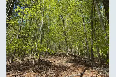 942 Fisher Branch Road, Marshall, NC 28753 - Photo 28