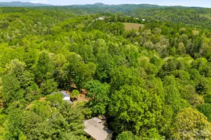 100 Greenbriar Ave, Flat Rock, NC 28731 - Photo 36