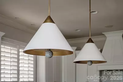 306 Royal Crescent Lane, Waxhaw, NC 28173 - Photo 20