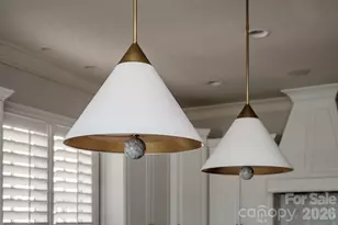 306 Royal Crescent Lane, Waxhaw, NC 28173 - Photo 20