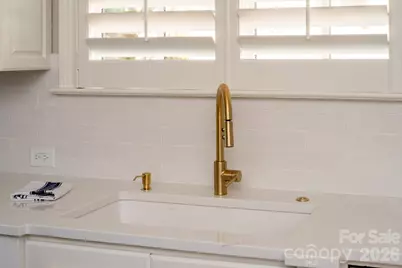 306 Royal Crescent Lane, Waxhaw, NC 28173 - Photo 24