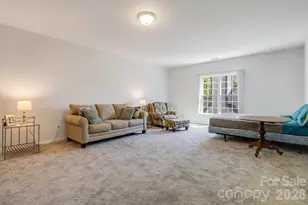 29 Little Cedar Ct, Asheville, NC 28805 - Photo 28