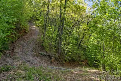 841 Laurel Spring Drive, Bryson City, NC 28713 - Photo 4