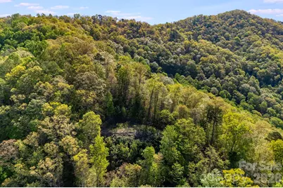 841 Laurel Spring Drive, Bryson City, NC 28713 - Photo 8