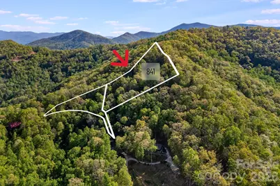 841 Laurel Spring Drive, Bryson City, NC 28713 - Photo 2