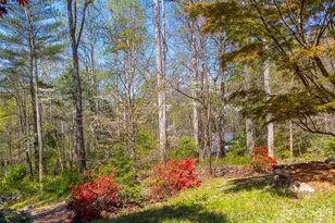 605 Toy Cv Rd, Sylva, NC 28779 - Photo 48