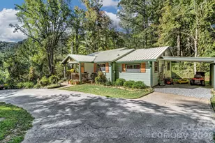 3851 Gerton Hwy, Gerton, NC 28735 - Photo 1