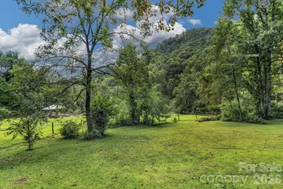 3851 Gerton Highway, Gerton, NC 28735 - Photo 6