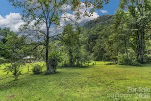 3851 Gerton Hwy, Gerton, NC 28735 - Photo 6