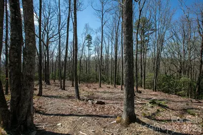 148 Spring Song Lane #6, Fletcher, NC 28732 - Photo 2