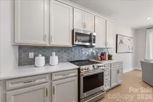 201 Landy St, Fort Mill, SC 29715 - Photo 10