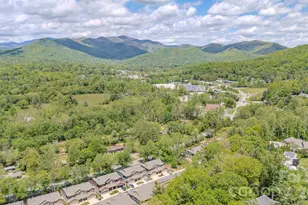 552 Sweet Birch Park Ln, Black Mountain, NC 28711 - Photo 44