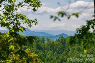77 McIntyre Dr, Asheville, NC 28803 - Photo 38