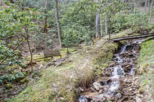 57 Grosbeak Trail, Sylva, NC 28779 - Photo 6