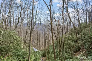 57 Grosbeak Trail, Sylva, NC 28779 - Photo 4