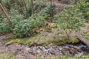 57 Grosbeak Trail, Sylva, NC 28779 - Photo 44