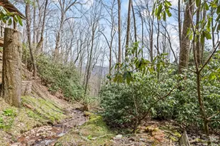57 Grosbeak Trail, Sylva, NC 28779 - Photo 42