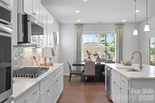 3879 Horsham St, Indian Land, SC 29707 - Photo 2