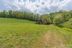 115 Gardening Frog Trl, Waynesville, NC 28785 - Photo 22