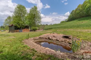 115 Gardening Frog Trl, Waynesville, NC 28785 - Photo 4